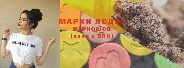 МДПВ Дмитриев