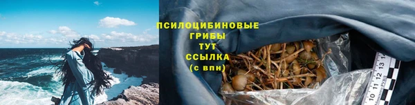 МДПВ Дмитриев