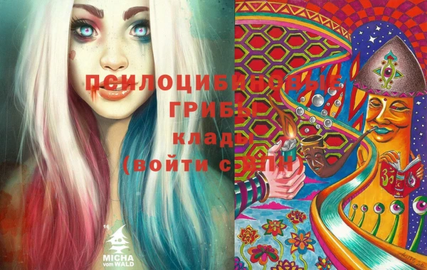 шишки Дмитров