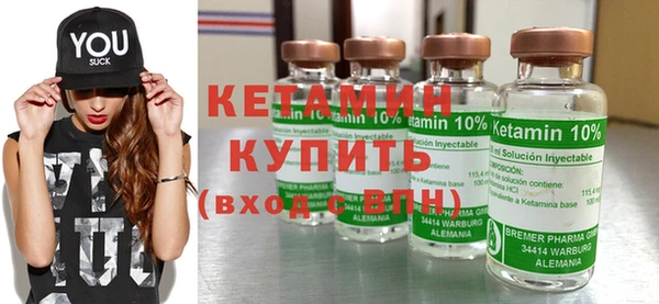 шишки Дмитров