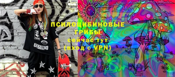 МДПВ Дмитриев