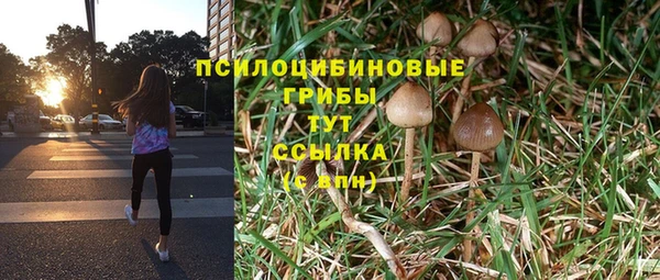 шишки Дмитров