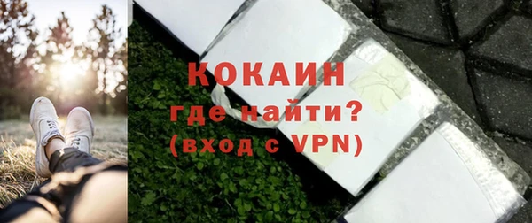 МДПВ Дмитриев