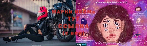 шишки Дмитров