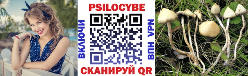 Галлюциногенные грибы мицелий  Томари 